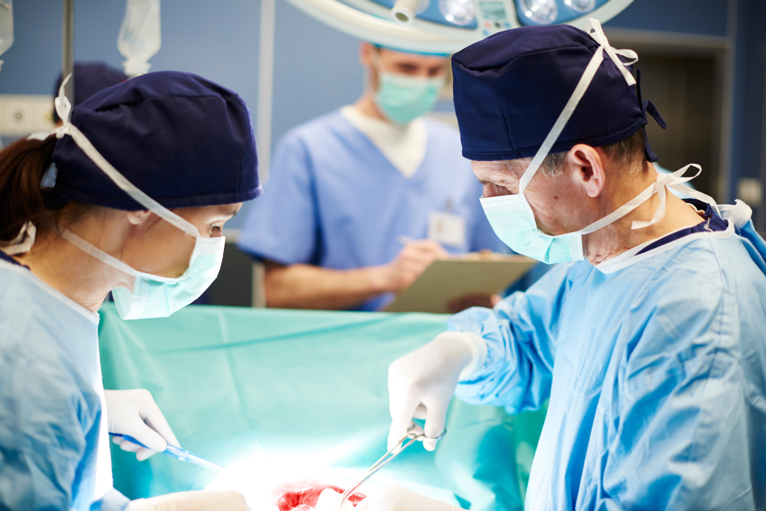 Teczki transplantacyjne usprawniają proces przeszczepu nerki - Evereth News